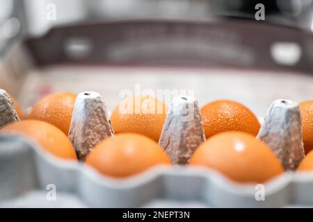 Pasture raised farm fresh dozen brown eggs closeup macro from store bought from farmer in carton box container with eggshells texture Stock Photo