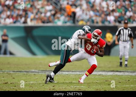 Kansas City Chiefs' Mark Bradley (83) celebrates with Chiefs tight end Tony  Gonzalez (88) after Gonzalez scored a touchdown against the New York Jets  during the second quarter of an NFL football