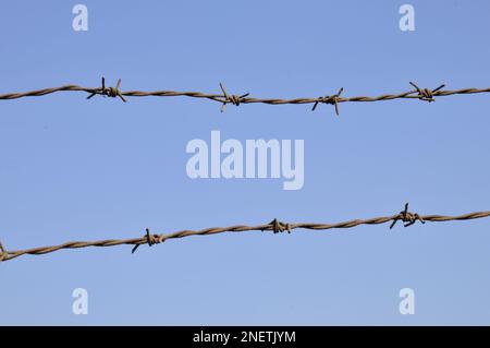 Rusty barbed wire, blue sky background Stock Photo