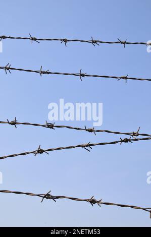 Rusty barbed wire, blue sky background Stock Photo