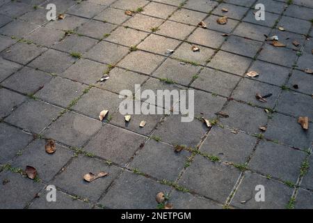 The squares block of tile walkway Stock Photo