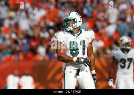 Miami Dolphins tight end Joey Haynos looks for a pass interference