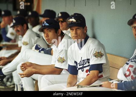 Los Angeles baseball player Brett Butler watches as teammates give high  fives at home plate -- Please credit photographer Kirk Schlea Stock Photo -  Alamy