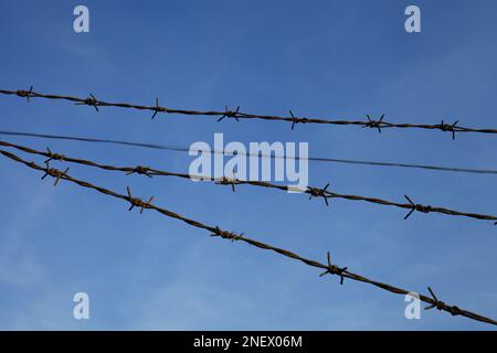 Rusty barbed wire, blue sky background Stock Photo