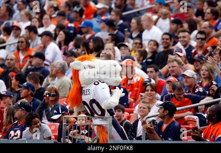 Denver mascot Miles during the Denver Broncos v the Los Angeles Chargers of  an NFL football game Sunday, January 8, 2023, in Denver. (AP Photo/Bart  Young Stock Photo - Alamy