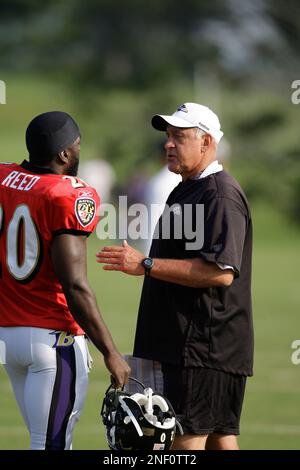 Baltimore Ravens defensive coordinator Greg Mattison during the