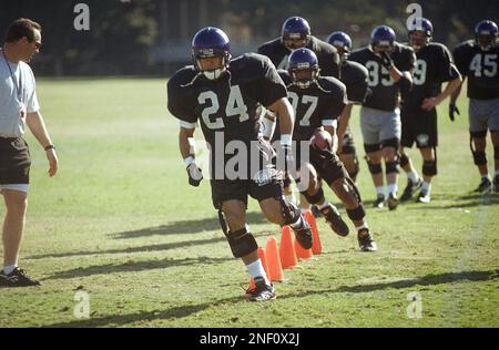 Rose Bowl during the 1993 Super Bowl Stock Photo - Alamy