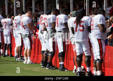 NFL FILE: Mike Alstott and Warrick Dunn of the Tampa Bay Buccaneers at the  Pro-Bowl in Honolulu, Hawaii. (Sportswire via AP Images Stock Photo - Alamy