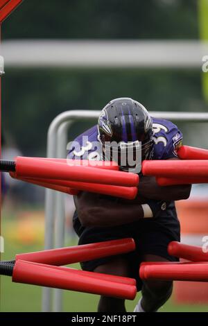 Baltimore Ravens running back Willis McGahee carries the ball during the  NFL football team's training camp, Friday, July 31, 2009, in Westminster,  Md. (AP Photo/Rob Carr Stock Photo - Alamy