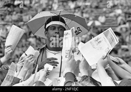 Tony Dorsett of the Dallas Cowboys is shown in 1977. (AP Photo Stock Photo  - Alamy