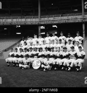 Roger Maris Mickey Mantle And Elston Howard In New York Yankees T