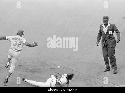 JACK CLARK Photo San Francisco Giants in action at bat (c) May 1984