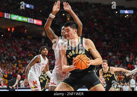 College Park, MD, USA. 16th Feb, 2023. Purdue Boilermakers center Zach Edey (15) grabs a rebound during the NCAA basketball game between the Purdue Boilermakers and the Maryland Terrapins at Xfinity Center in College Park, MD. Reggie Hildred/CSM/Alamy Live News Stock Photo