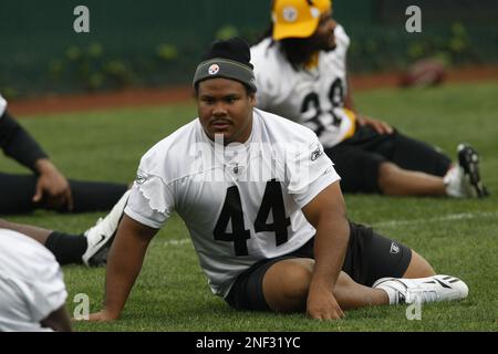 Pittsburgh Steelers running back Frank Summers (44) at the NFL football  team's training camp in Latrobe, Pa. Saturday, July 31, 2010. (AP  Photo/Keith Srakocic Stock Photo - Alamy