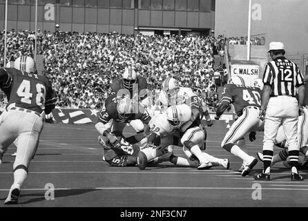 Miami Dolphins Larry Csonka fumbles as he hits the New England Patriots  12-yard lien in the second quarter of play at Foxboro, Sunday, Oct. 21, 1979.  Csonka (39) reaches over fallen Patriot Julius Adams (85) as Mel Lunsford  (72) and Dwight Wheeler (64