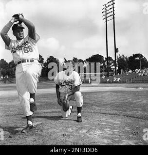 Los Angeles Dodgers - Batting Practice Logo (1972) - Baseball