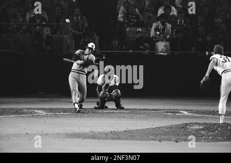 Major League Baseball umpire Lee Weyer looks on from the field