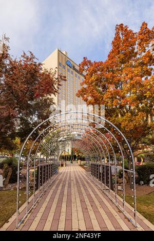 Texas, NOV 25 2022 - Afternoon view of the San Jacinto Plaza with Christmas decoration Stock Photo