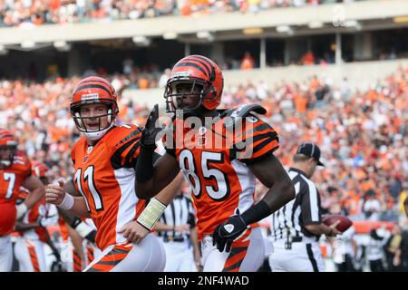 Cincinnati Bengals wide receiver Chad Ocho Cinco, who recently legally  changed his name from Chad Johnson, warms up before the start of his game  against the Baltimore Ravens at M&T Bank Stadium