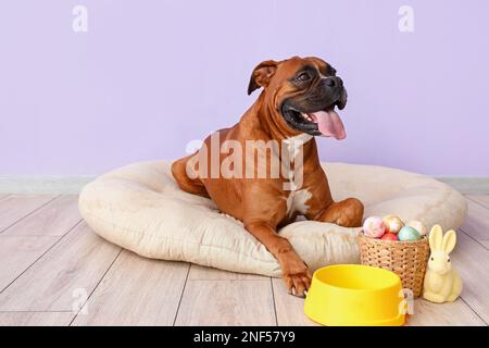 are eggs good for boxer dogs