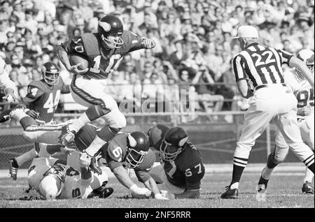 Fran Tarkenton (10) Minnesota Vikings quarterback, Jan. 7, 1974. Location  unknown. (AP Photo/Ferd Kaufman Stock Photo - Alamy