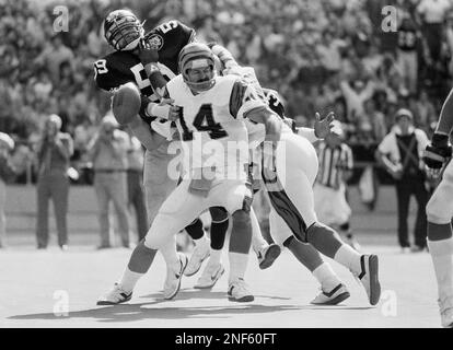 Baltimore Colts quarterback Bert Jones tucks the ball and ducks under the  pressure of Steelers defensive end L.C. Greenwood (68) and linebacker Jack  Ham (59) during first quarter action in Pittsburgh, Dec.