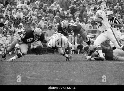 New York Giants quarterback Fran Tarkenton, Aug. 7, 1967. (AP Photo/Harry  Harris Stock Photo - Alamy