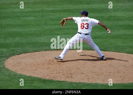 Armando Gabino's major league pitching debut for Minnesota Twins will be a  family affair – Twin Cities