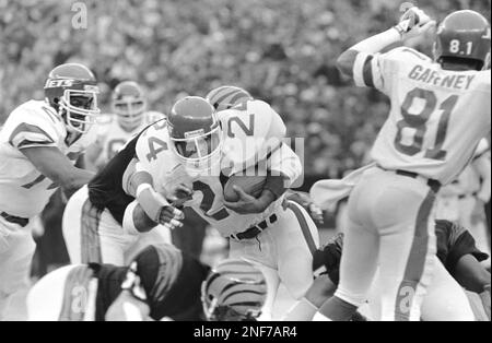 Former New York Jets' player Freeman McNeil during halftime of an NFL  football game Monday, Oct. 17, 2011 in East Rutherford, N.J. (AP Photo/Bill  Kostroun Stock Photo - Alamy