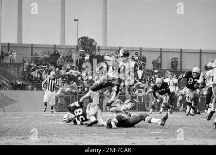 Henry Jordan, Green Bay Packers Tackle, is seen in this August 1963 photo.  (AP Photo/Charles Kelly Stock Photo - Alamy