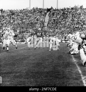 Quarterback Johnny Unitas of the Baltimore Colts poses in Westminster, MD  on July, 19, 1961. (AP Photo Stock Photo - Alamy