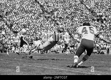 San Francisco 49ers right end Monty Stickles (85) gets up in the