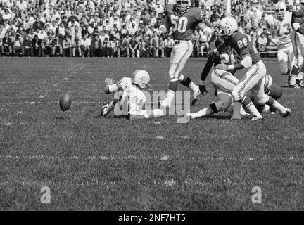 Miami Dolphins Howard Twilley (81) slips to the ground as he