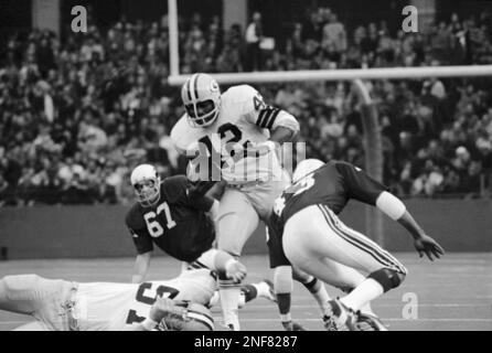 Green Bay Packers running back John Brockington (42) is brought down after  a two-yard gain by Chicago Bears defensive end Ed OBradovich (87) in the  fourth quarter, Sunday, Nov. 8, 1971 in