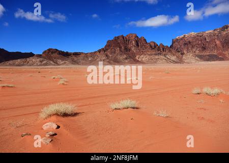 Wüstenlandschaft im Wadi Rum  /  Desert scene at Wadi Rum, Jordan Stock Photo