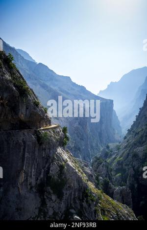 Cares trail - ruta del Cares - in Picos de Europa canyon, Asturias, Spain Stock Photo