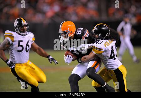 Pittsburgh Steelers Strong Safety Troy Polamalu (43) tackles Miami Dolphins  Tight End Randy McMichael (81) during a second quarter downpour on  September 26, 2004 at Pro Player Stadium in Miami, Fl. The