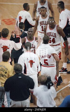 bulls jordan teammates
