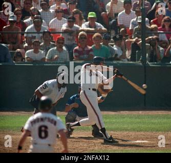 San Francisco Giants Will Clark (22) in action during a game at Veterans  Stadium in Philadelphia, Pennsylvania. Will Clark played for 15 years with  4 different teams.(AP Photo/David Durochik Stock Photo - Alamy