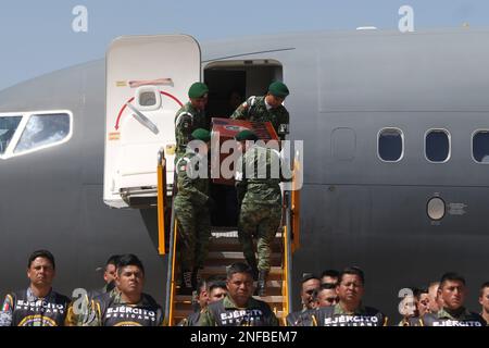 Non Exclusive: February 16, 2023, Mexico City, Mexico: Military, perform a tribute to the arrival of the remains of 'Proteo', the rescue dog of the Me Stock Photo