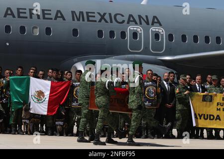 Non Exclusive: February 16, 2023, Mexico City, Mexico: Military, perform a tribute to the arrival of the remains of 'Proteo', the rescue dog of the Me Stock Photo