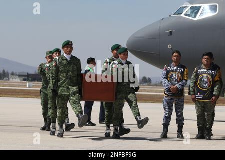 Non Exclusive: February 16, 2023, Mexico City, Mexico: Military, perform a tribute to the arrival of the remains of 'Proteo', the rescue dog of the Me Stock Photo