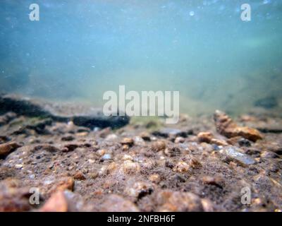 Blue-green flowing water ripples and bubbles over colorful textured rocks and silt in a clean beautiful Pennsylvania waterway. Serene image of healthy Stock Photo