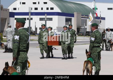 Non Exclusive: February 16, 2023, Mexico City, Mexico: Military, perform a tribute to the arrival of the remains of 'Proteo', the rescue dog of the Me Stock Photo