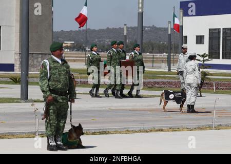 Non Exclusive: February 16, 2023, Mexico City, Mexico: Military, perform a tribute to the arrival of the remains of 'Proteo', the rescue dog of the Me Stock Photo