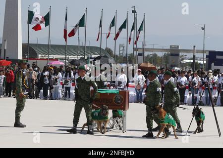 Non Exclusive: February 16, 2023, Mexico City, Mexico: Military, perform a tribute to the arrival of the remains of 'Proteo', the rescue dog of the Me Stock Photo