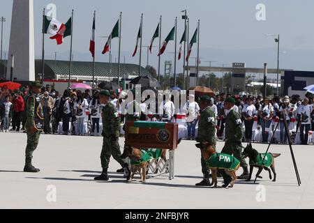 Non Exclusive: February 16, 2023, Mexico City, Mexico: Military, perform a tribute to the arrival of the remains of 'Proteo', the rescue dog of the Me Stock Photo