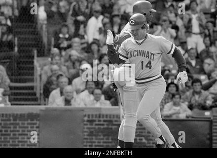 Portrait of Cincinnati Reds' infielder and switch hitter Pete Rose