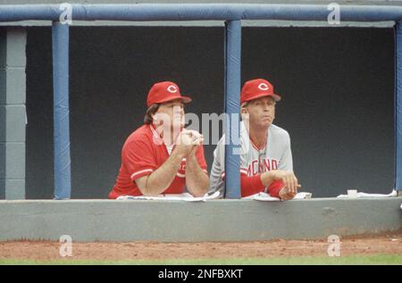 Cincinnati Reds manager Tommy Helms upset with umpire during game