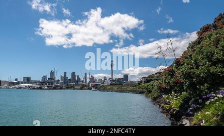 Auckland, New Zealand - December 28th 2022: The Sky Tower dominates the Auckland city skyline in New Zealand viewed across the harbour from Westhaven Stock Photo